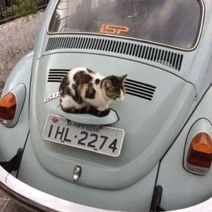 Meet your Posher, James